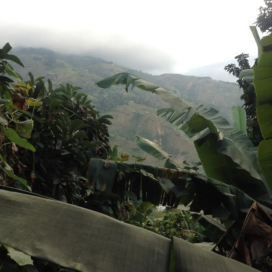 ** Economy hotel Turin Vue La Montagne Lodge Fermathe Haiti